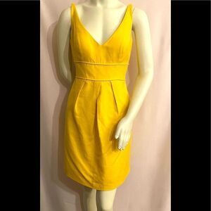 NWT Jenny Yoo Dress